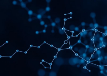 Pep2Net Unifies Fragmented Peptide Databases With a Cross-Attention AI Model