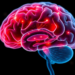 Blood Tests for Brain Aging Fail to Predict Physical Decline in Large Study of Older Adults