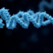 Lightweight AI Tool Outsmarts Deep Learning at Spotting Disordered Proteins