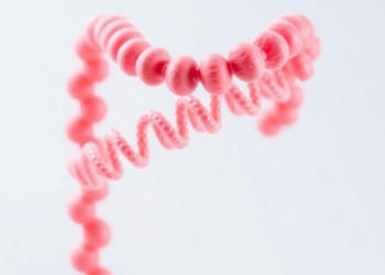 Milk Protein Gene CSN3 Emerges as a Driver of Colorectal Cancer Growth Through AKT Signaling