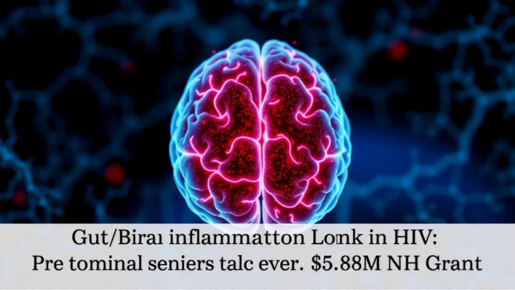 Gut/Brain Inflammation Link in HIV Wins $5.8M NIH Grant