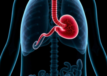 Biliary Tract Cancer Guidelines Excel at Clarity but Leave Precision Oncology Pathways Incomplete