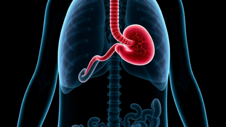 Biliary Tract Cancer Guidelines Excel at Clarity but Leave Precision Oncology Pathways Incomplete