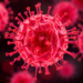 A Fat-Burning Switch That Turns Immune Cells Into Cancer Killers