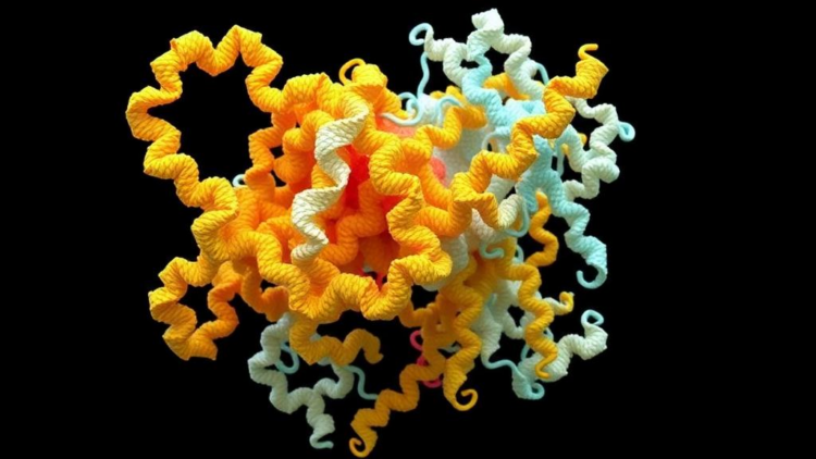 Hybrid docking-assembly algorithm cracks the structures of giant protein complexes