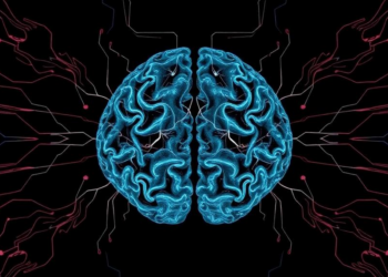 Hidden Symmetry Found in the Brain’s Messy Head-Direction Circuits