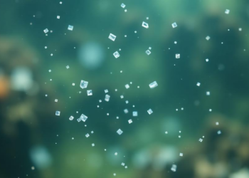 Tiny Plastic Particles Are Inside Wildlife, But Scientists Still Cannot Prove It