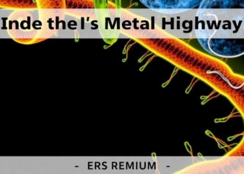 Inside the Cell’s Metal Highway: How Zinc, Manganese, and Iron Reach the ER and Golgi