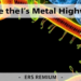 Inside the Cell’s Metal Highway: How Zinc, Manganese, and Iron Reach the ER and Golgi