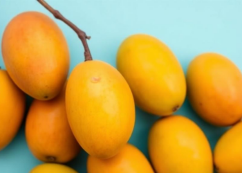 From King of Fruits to Genomic Frontier: How Scientists Are Mapping Asia’s Mango Diversity Before It Slips Away