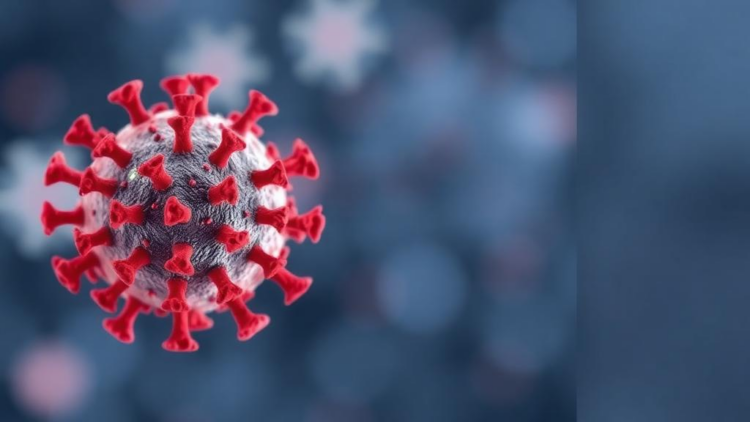 Hidden Herpesvirus Reactivation Linked to Severe Childhood Colitis Flare-Ups