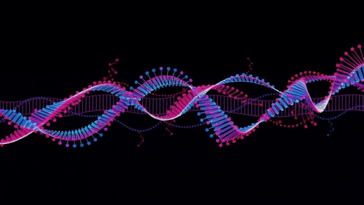Social Media Overuse Linked to Stress-Gene Methylation in First Longitudinal Epigenetic Study