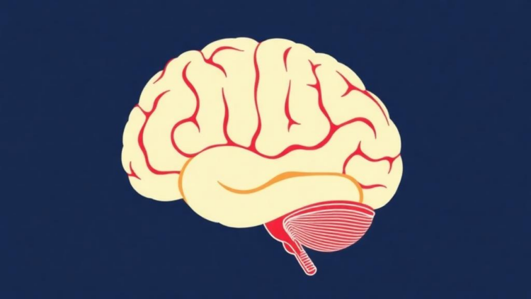 Your Brain Can Learn Without Practice, New Study Reveals
