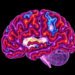 Massive Cell-by-Cell Map Reveals the Cerebellum’s Hidden Role in Alzheimer’s Disease
