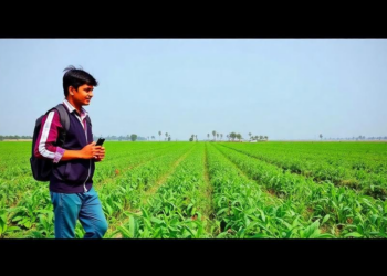 Why Indian Agriculture Students Still Crave the Security of a Government Job