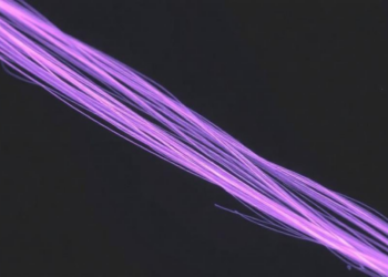 Plasma-Treated Cellulose Fibers Make Cement Composites Tougher, Study Finds