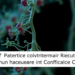 Loss of Protective Bacteria Marks the Microbial Landscape of Cervical Cancer