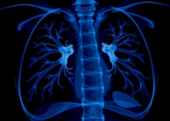 When Every Missed Breath Counts: AI Debate Over Detecting Neonatal Pneumothorax