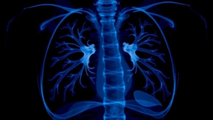 When Every Missed Breath Counts: AI Debate Over Detecting Neonatal Pneumothorax