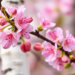 Single Gene Discovered as Master Switch Behind Sterile Birch Flowers