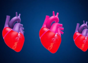 Virtual Heart Models Reveal Why Some Patients Develop Heart Block After TAVR