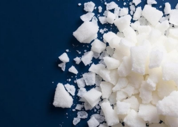 Diabetes Drug Acarbose Turns Sugar Into an Anti-Obesity Ally by Rewiring Gut Microbes