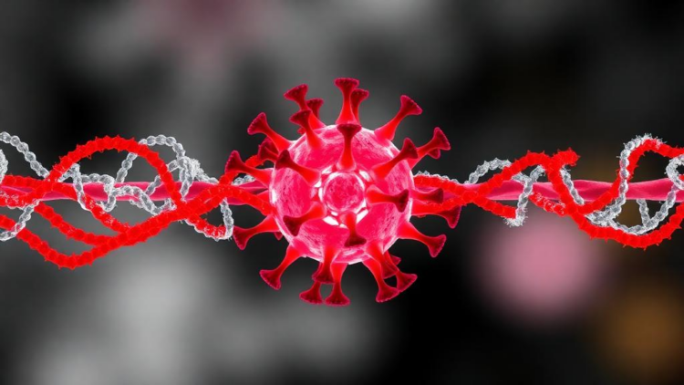 Split Inteins Offer a Viral-Protein-Free Route to Load Functional Enzymes into Extracellular Vesicles