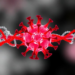 Split Inteins Offer a Viral-Protein-Free Route to Load Functional Enzymes into Extracellular Vesicles