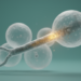 Licensed Ebola vaccine sparks immune cells that recognize a second deadly ebolavirus