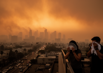 Heatwaves and Wildfire Smoke Now Overlap for More Than Half the World’s Population
