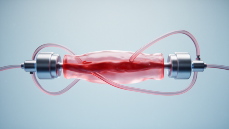 Two Pressure Sensors, One Loop: A New Way to Read the Mechanical Fingerprint of Blood Vessels
