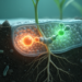 Plant receptor SRF3 balances iron uptake and immune defense, study finds