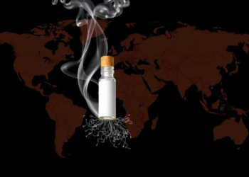 Chewing Tobacco Tied to 251,000 Deaths Worldwide as Burden Concentrates in Just 10 Countries