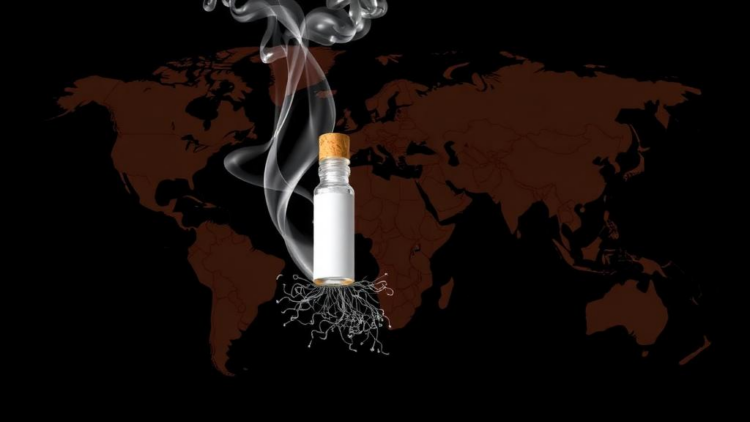 Chewing Tobacco Tied to 251,000 Deaths Worldwide as Burden Concentrates in Just 10 Countries