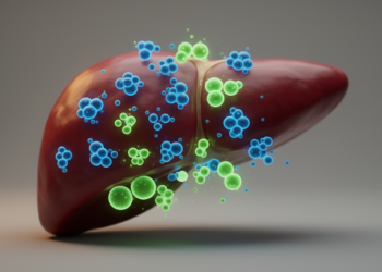 Spleen Study Reveals Proliferation, Not Receptor Sequence, Drives T Cell Repertoire Layout