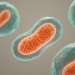 National Study Reveals Survival and Causes of Death in Mitochondrial Disease