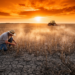 Compound drought–heatwave events are on the move, and farmland is in their path