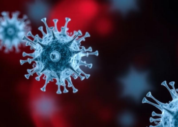 Radiotherapy Backfires: PD-1-Positive Monocytes Emerge as Hidden Drivers of Treatment Resistance
