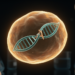 Inherited genome rearrangements shape tumor mutation burden in breast and gynecologic cancers