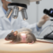 Filmed for Five Months, Mouse Skin Reveals That Males and Females Renew It Differently