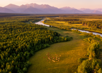 Earth May Already Be Far Closer to the 30×30 Conservation Goal Than We Thought