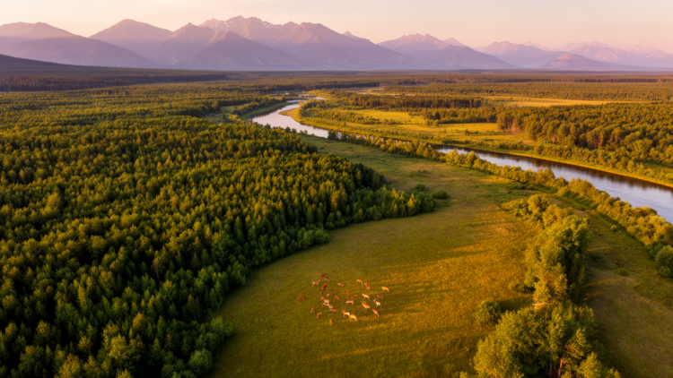 Earth May Already Be Far Closer to the 30×30 Conservation Goal Than We Thought