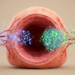 Drug Penetration Into Lung Cavities Predicts Which Tuberculosis Regimens Can Be Shortened