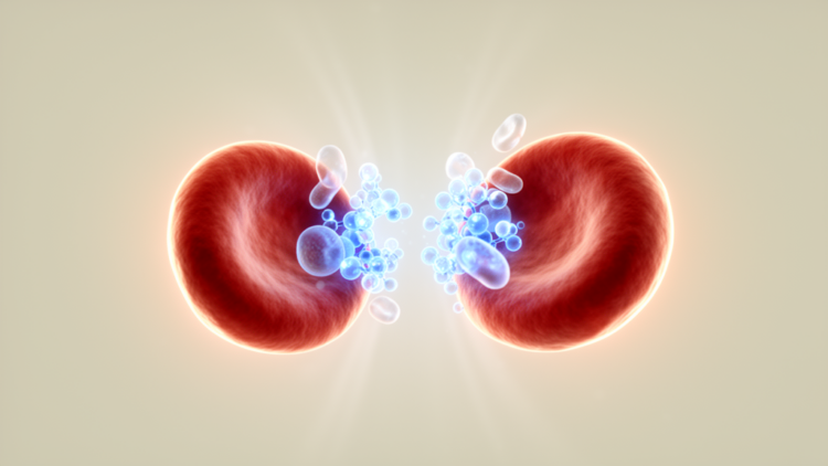 Scientists Discover a Molecular Repulsion System That Keeps Blood Pressure in Check