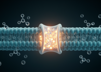 AI Model Decodes Which Molecules Transporters Carry Across Cell Membranes