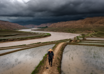 China’s Yellow River Basin Is Getting Wetter, But Not the Way You Think