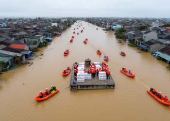 Typhoon Yagi Reveals How Support Tasks Shape Disaster Collaboration Networks