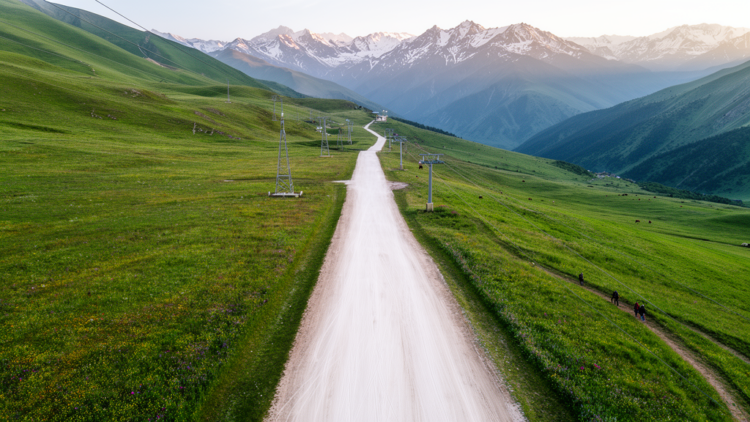Ski Pistes Strip Caucasus Grasslands of Biomass and Biodiversity