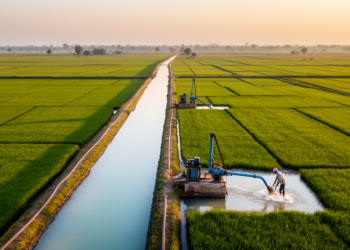 Two Centuries of Canals and Pumps Have Reversed the Flow Beneath North India’s Rivers