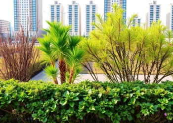 Urban land use influences microbial functional traits along a management intensity gradient